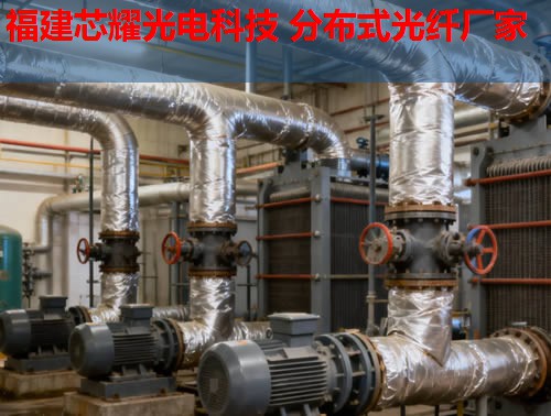 分布式光纖技術(shù)如何應(yīng)用于英語教學(xué)？跨學(xué)科融合的無限可能。