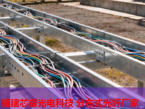 2026年分布式光纖水聽(tīng)行業(yè)領(lǐng)先品牌排行榜